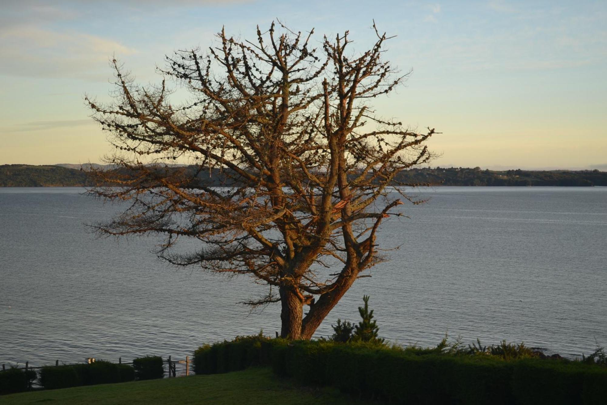 Panamericana Hotel Ancud Eksteriør bilde